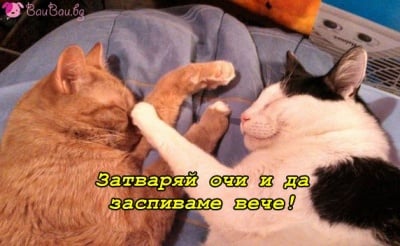 Меки и пухкави сънища