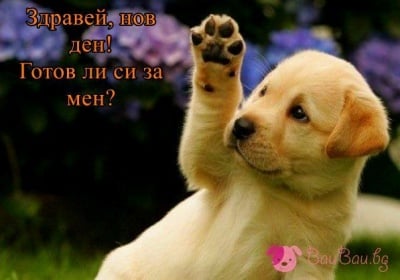 Прекрасно начало на един ден