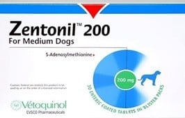 Зентонил 200