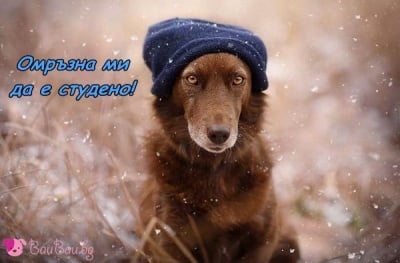 Зимата изглежда няма край...