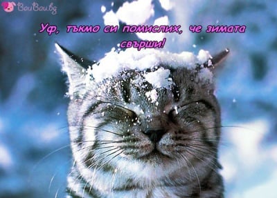 Не всички обичат снега