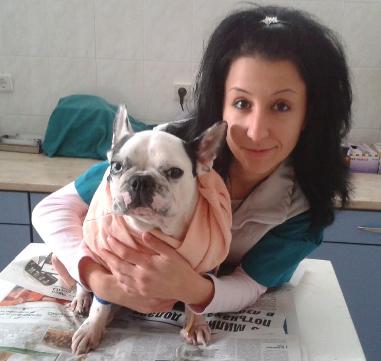 Респираторни инфекции при кучетата и изграждането на имунитет