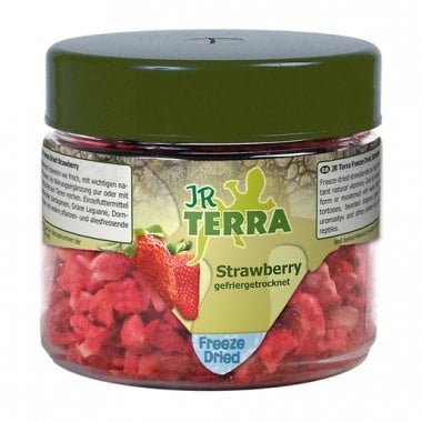 "JR Terra" – Замразени и сушени ягоди за влечуги и земноводни