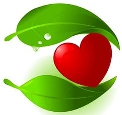 Растения, действащи върху Сърдечно - съдовата система при животните