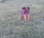 Нашият Джони