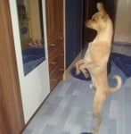 Ех, че съм красив!