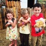 Деца прегръщат кокошки