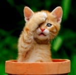 "О-о-о-х, имах тежка нощ!"