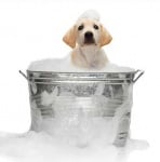 "За да бъда чист и красив "