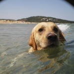 Бари търси гадже :)