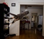 Излитаме-е-е-е