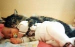 Котка спи с бебе