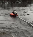 Давещо се магаре