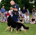 Упражнение на куче