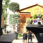 Малък Брабансон