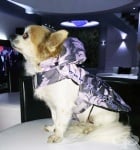 ЧИКИТА ЗИМНО ЯКЕ ЗА КУЧЕ PINK ROSES 1