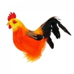 Петел с естествени пера