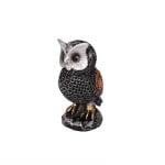 Бухал - Трофей "Честито Дипломиране"