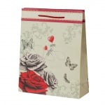 Водно конче харт.торба пакет 10бр. - голяма