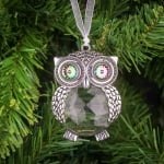 Висулка бухал