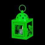 Зелен фенер - пиленце