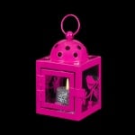 Розов фенер - пиленце