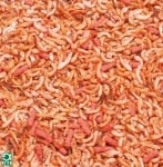 JBL Turtle Food - Балансирана храна от ракообразни и насекоми за водни костенурки