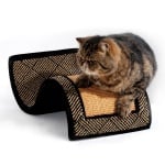 Драскалка вълна