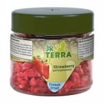 "JR Terra" – Замразени и сушени ягоди за влечуги и земноводни