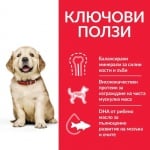 Hills - Science Plan Canine Puppy Large Breed с пилешко - За подрастващи кучета от едри и гиганстки породи, над 25кг, от отбиването до 18 мес. Бременни и кърмещи кучета - 2.5кг; 16.00кг