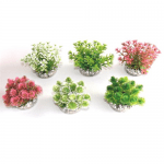 Растение Nano Bush Natural 9см от Sydeco, Франция