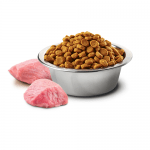 N&D ADULT MINI PUMPKIN - пълноценна храна за кучета от дребни породи с тиква, с пиле и нар - различни разфасовки