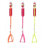 Комплект за малко куче повод + нагръдник PUPPY SET NEON