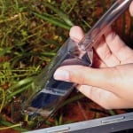 JBL AquaEx Set 10-35 NANO - сифон за малък аквариум