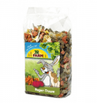 Мечтата на гризачите