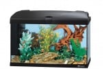 Стъклен аквариум Ferplast CAPRI 60, 60 x 31,5 x вис: 39,5 cm , 60 литра, оборудван, два цвята