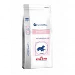Royal Canin Starter Medium Dog /за отбиване на кученца, бременни и кърмещи от средни породи/- 12.00 кг