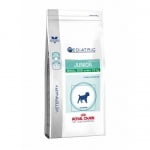 Royal Canin Junior Small Dog /за кученца от дребни породи от 2 до 10 месеца/ - 4.00кг