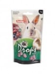 Flamingo Drops /дропс за гризачи с ябълки, ягоди, моркови, горски плодове/-75гр