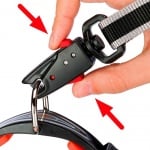 Повод за куче с флуоресцентни цветове Ferplast ERGOFLUO- два цявата, различни размери