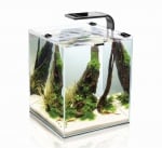 "SHRIMP SMART 30 L"- Аквариум с филтър, нагревател и осветление