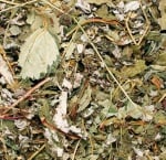 JR Terra – Листа от ягоди -  Набавят нужните фибри на Вашия домашен любимец.