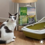 Котешка тоалетна Croci Eco Clean, 6 L