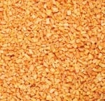 JR Terra – Кайсии 20гр - Замразените и сушени кайсии са свежи и богати на важни витамини, за развитието на Вашия домашен любимец.