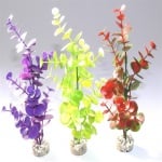 Растение Water Eucalyptus 22см от Sydeco, Франция