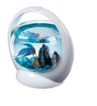 "Tetra Betta AguarIum ring" - Аквариум за рибки Бета