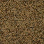 TetraPro Algae - Премиум клас храна за растителноядни риби -  различни разфасовки