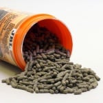 JBL Rugil 100ml – гранули за малки костенурки