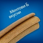 Лакомство за куче за зъбна хигиена Hill’s Dental Care Chews, с вкус на мента, 170гр