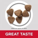 Храна за подрастващи котенца и за бременни и кърмещи котки Hill's Science Plan Kitten с пилешко месо, 100ГР НАСИПНО